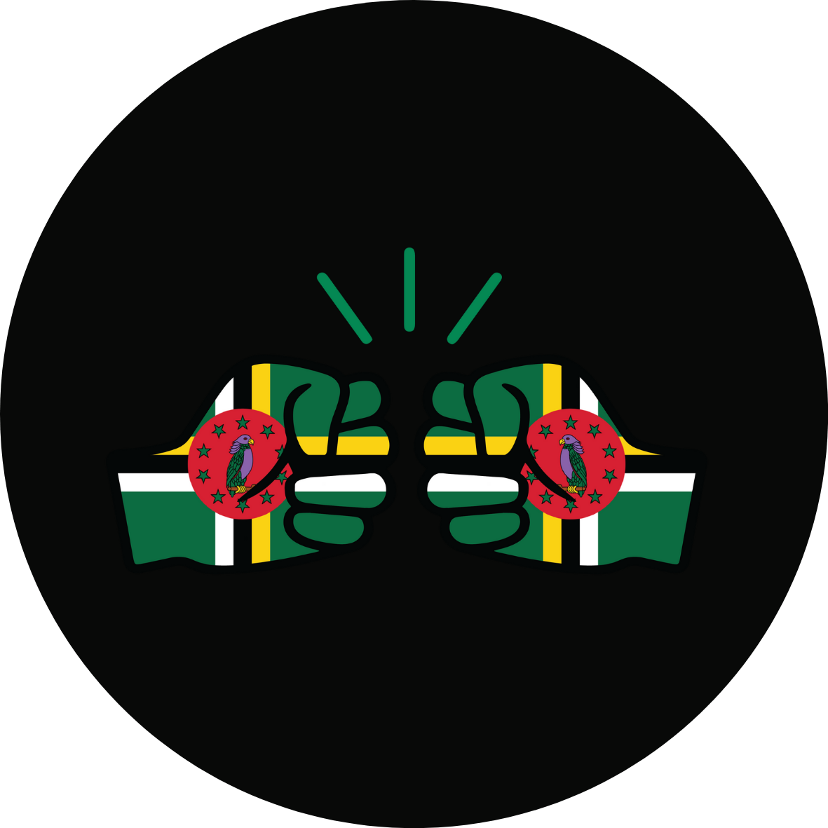 We Run Tings, Dominica, Flat Round Wood Disc Earrings, 6.5cm